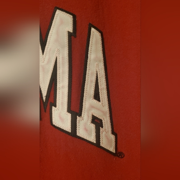 ALABAMA Unisex Hoodie - Picture 2 of 5